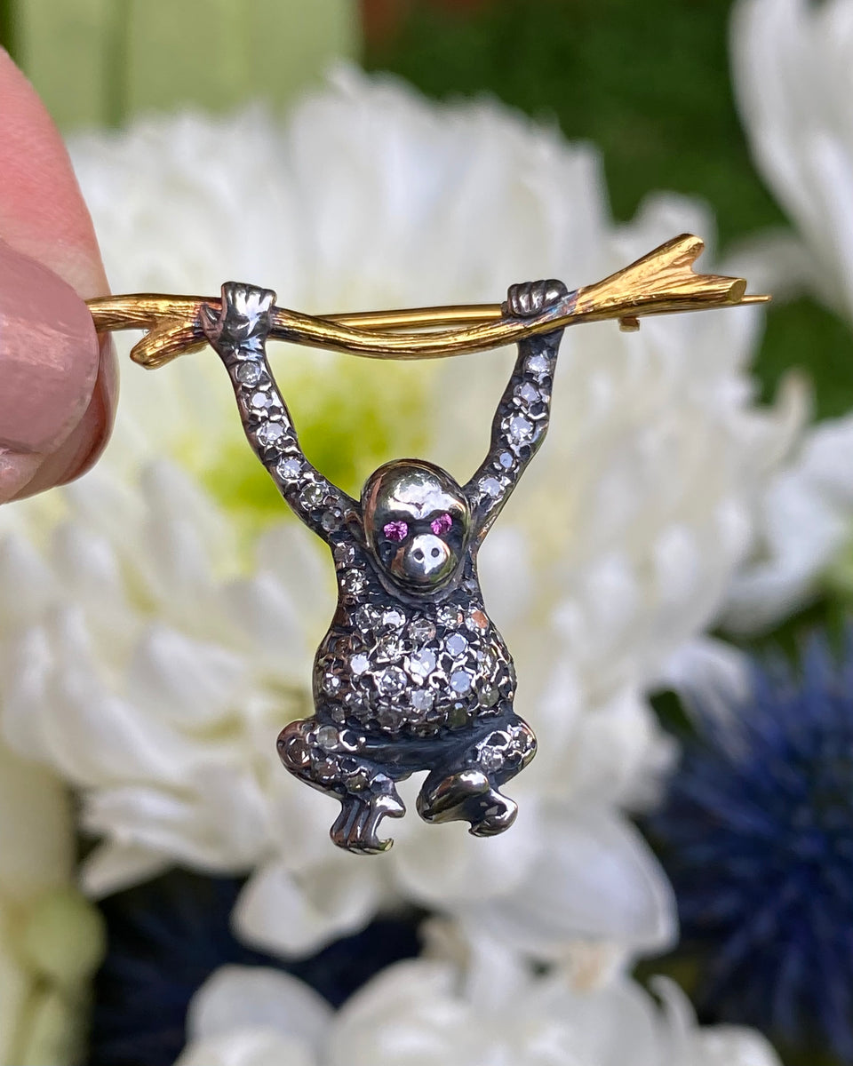 Rose Cut Diamond and Ruby Monkey Brooch 0.50ct – Philip Lloyd Jewellers